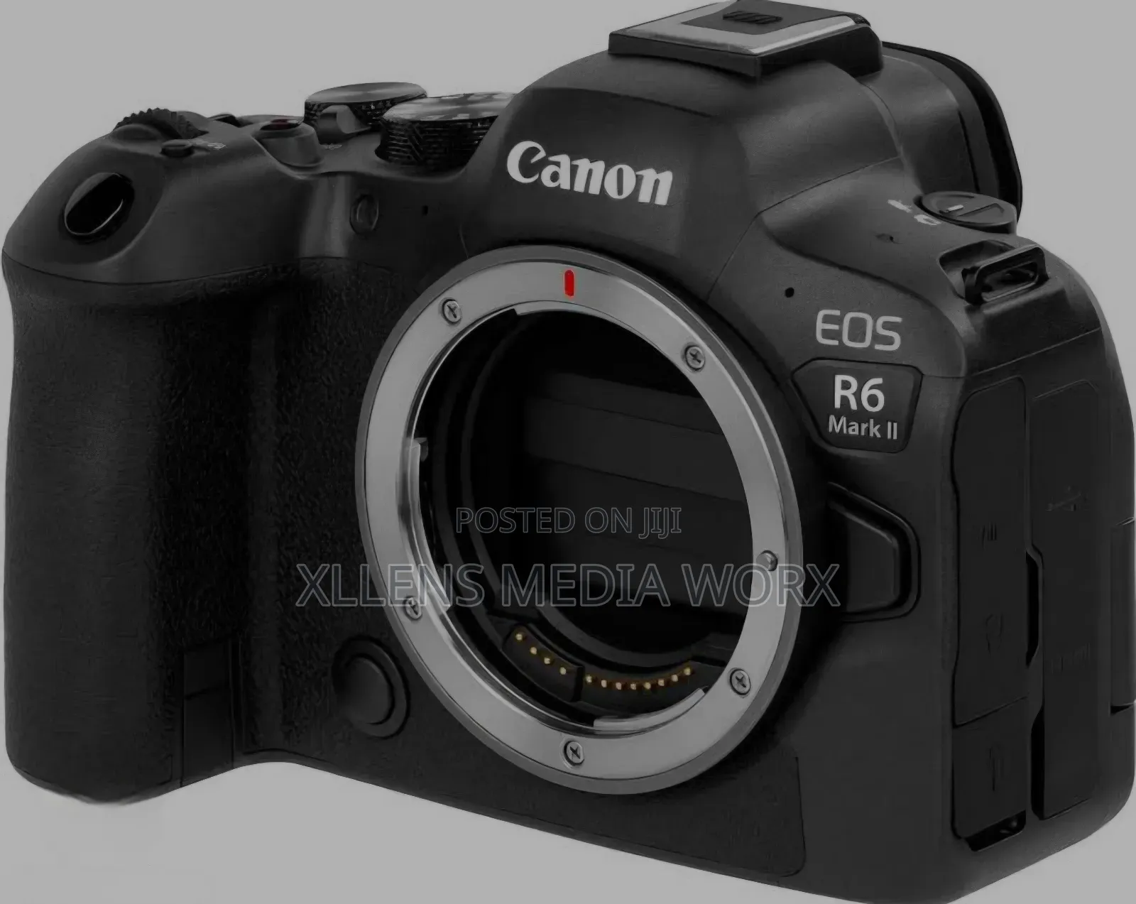 Canon R6 Mark II for Rent