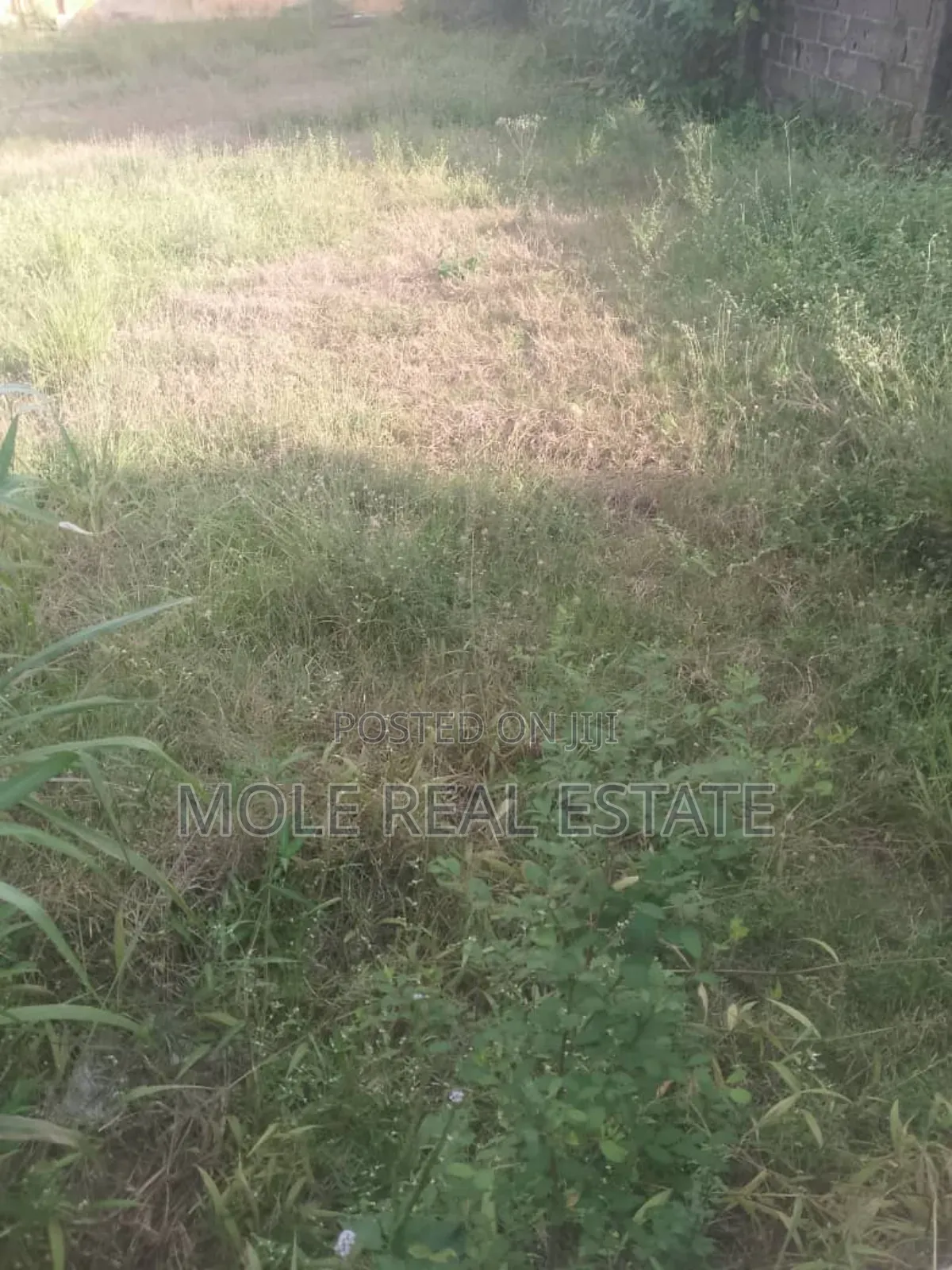 Half Plot of Land at Oluwaga Ipaja