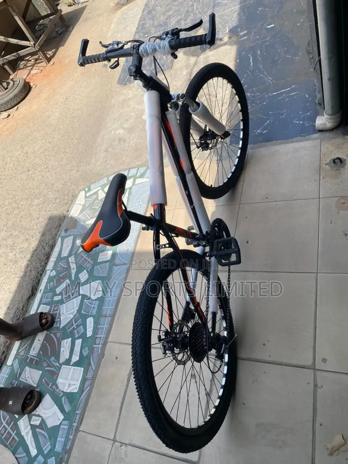 Adult Sports Bicycle