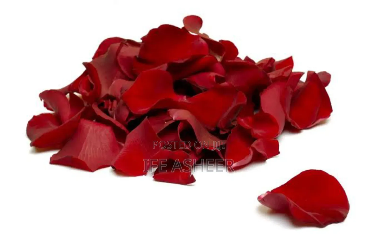 A Pack of Red Petals - 300pcs in a Pack