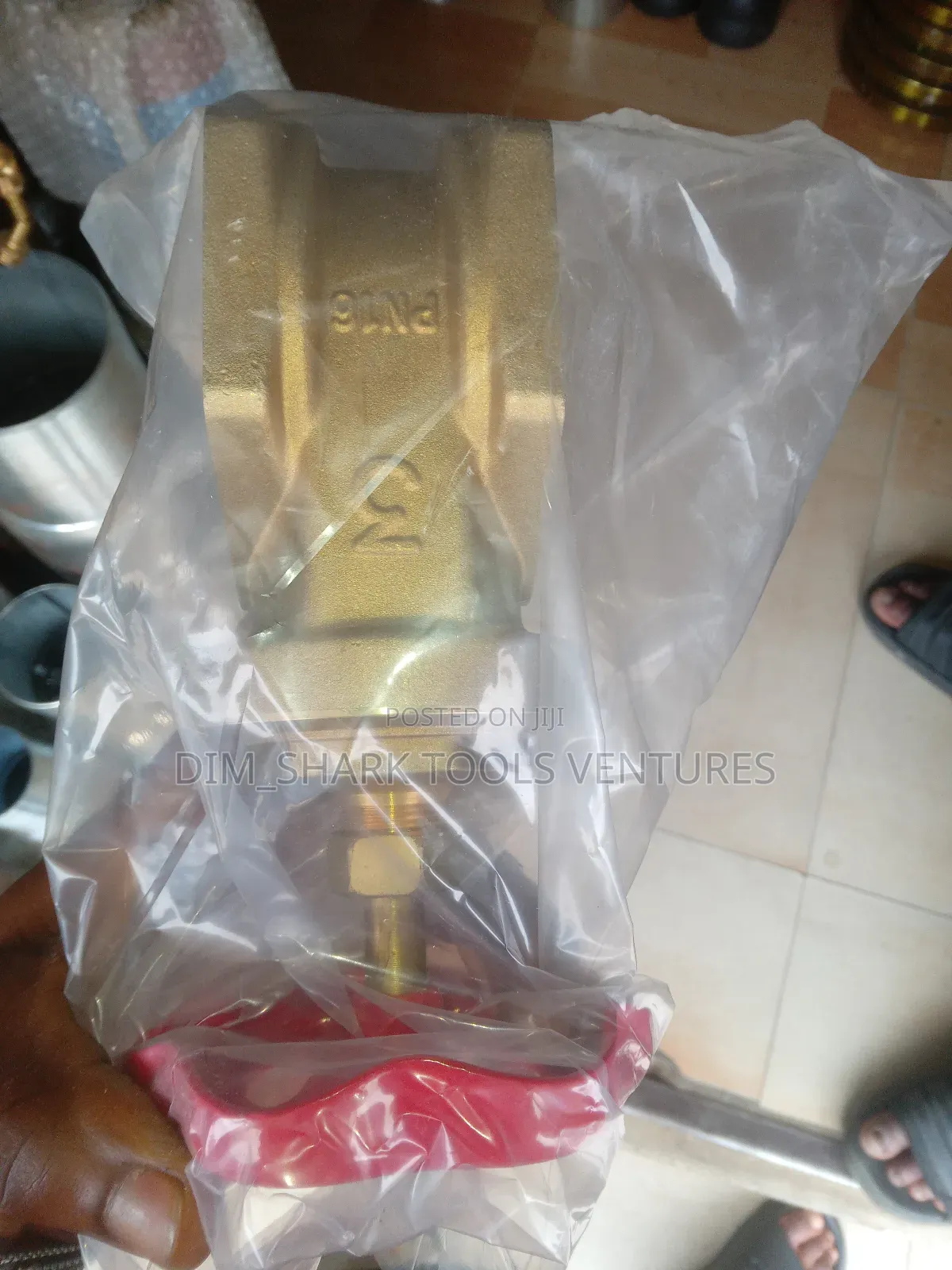 3" Brass Gate Valve(Italy)