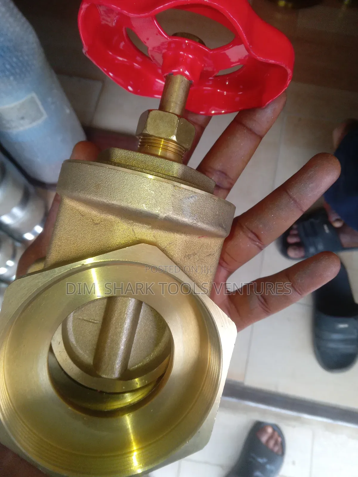 3" Brass Gate Valve(Italy)