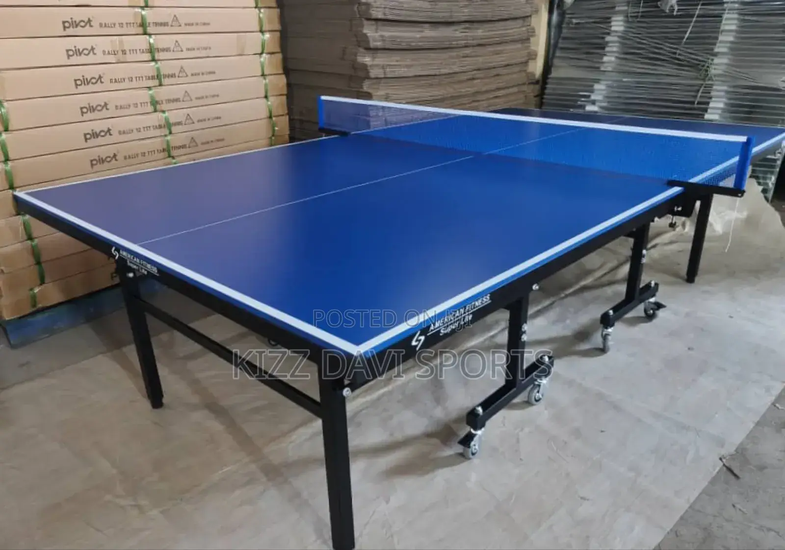 Outdoor Table Tennis Board American Fitness Quality