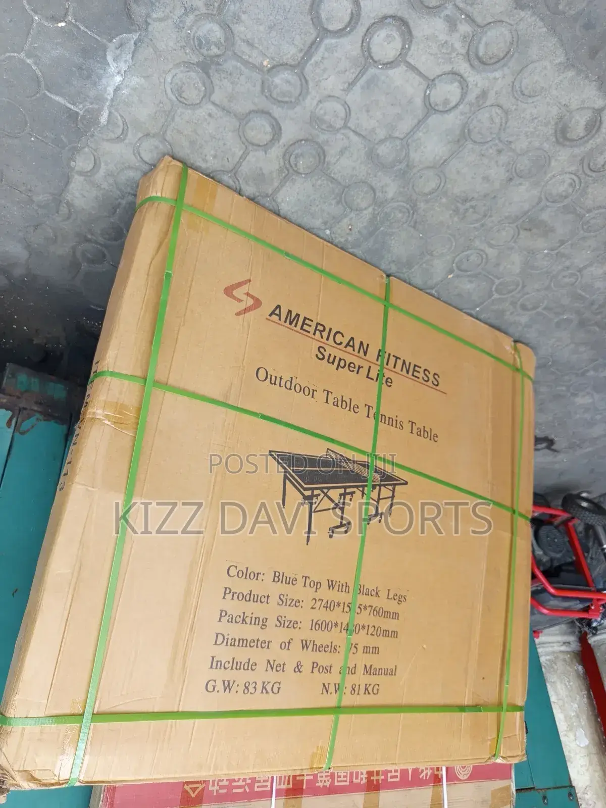 Outdoor Table Tennis Board American Fitness Quality