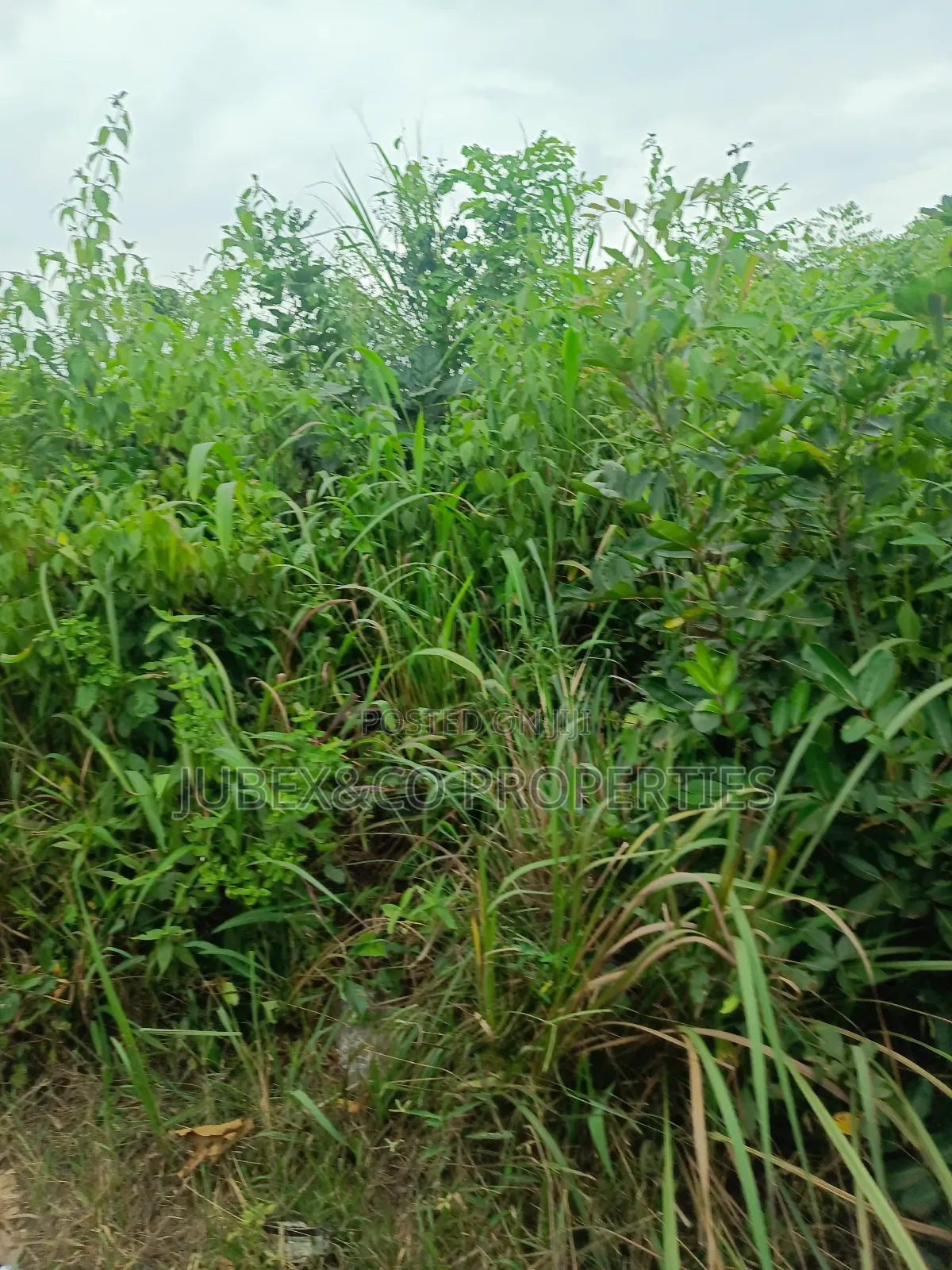 Acres of Land at Iweke Ilaro Road
