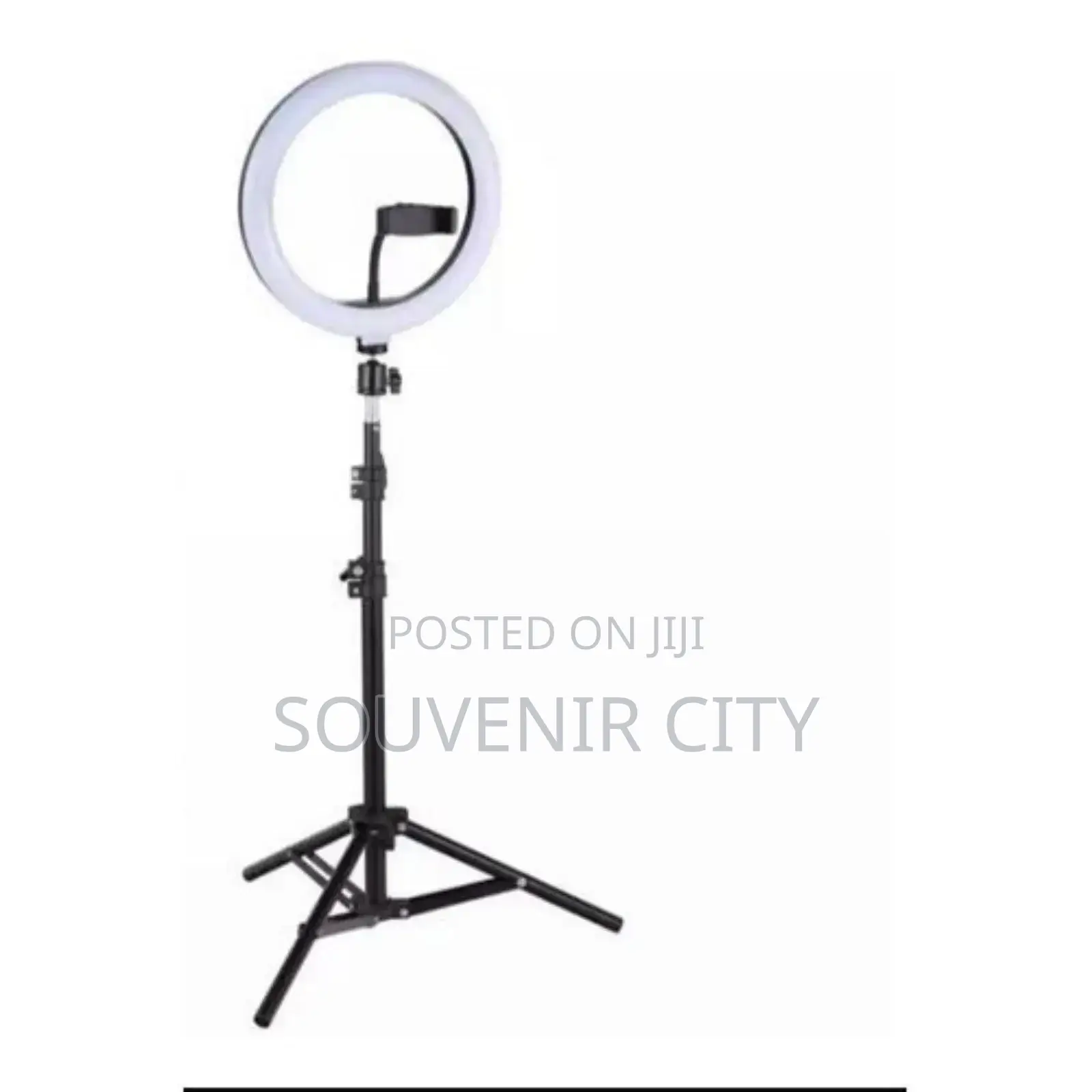 10'inches Ringlight