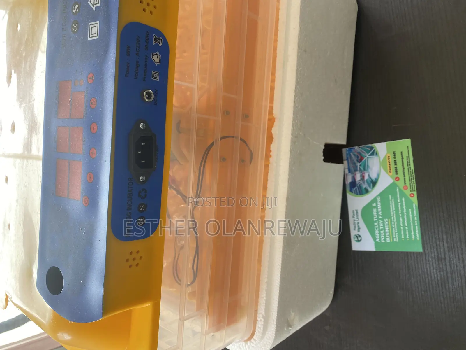 Egg Incubator