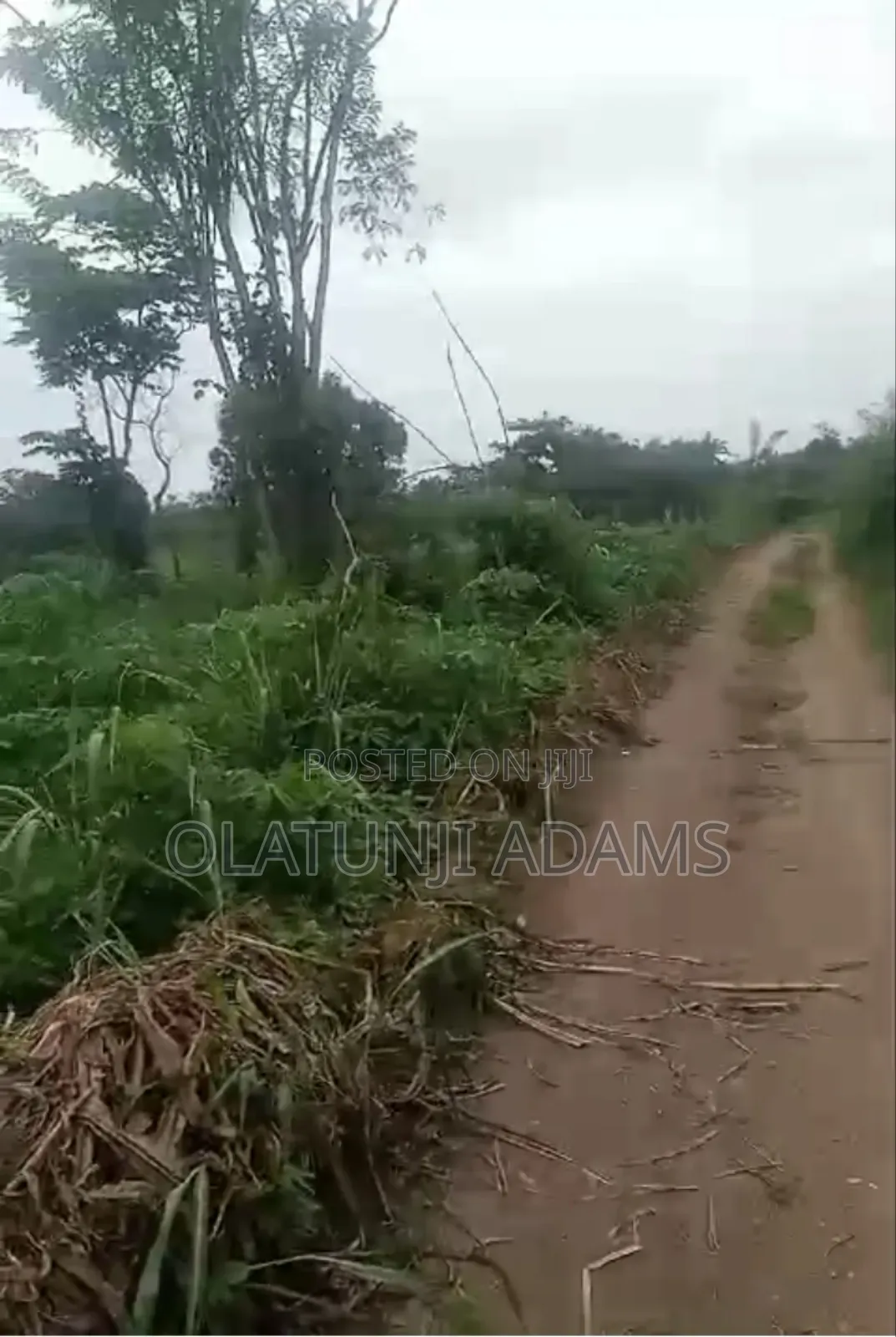 20acres of Land at Abobo Side Before Igbokiti Okinni