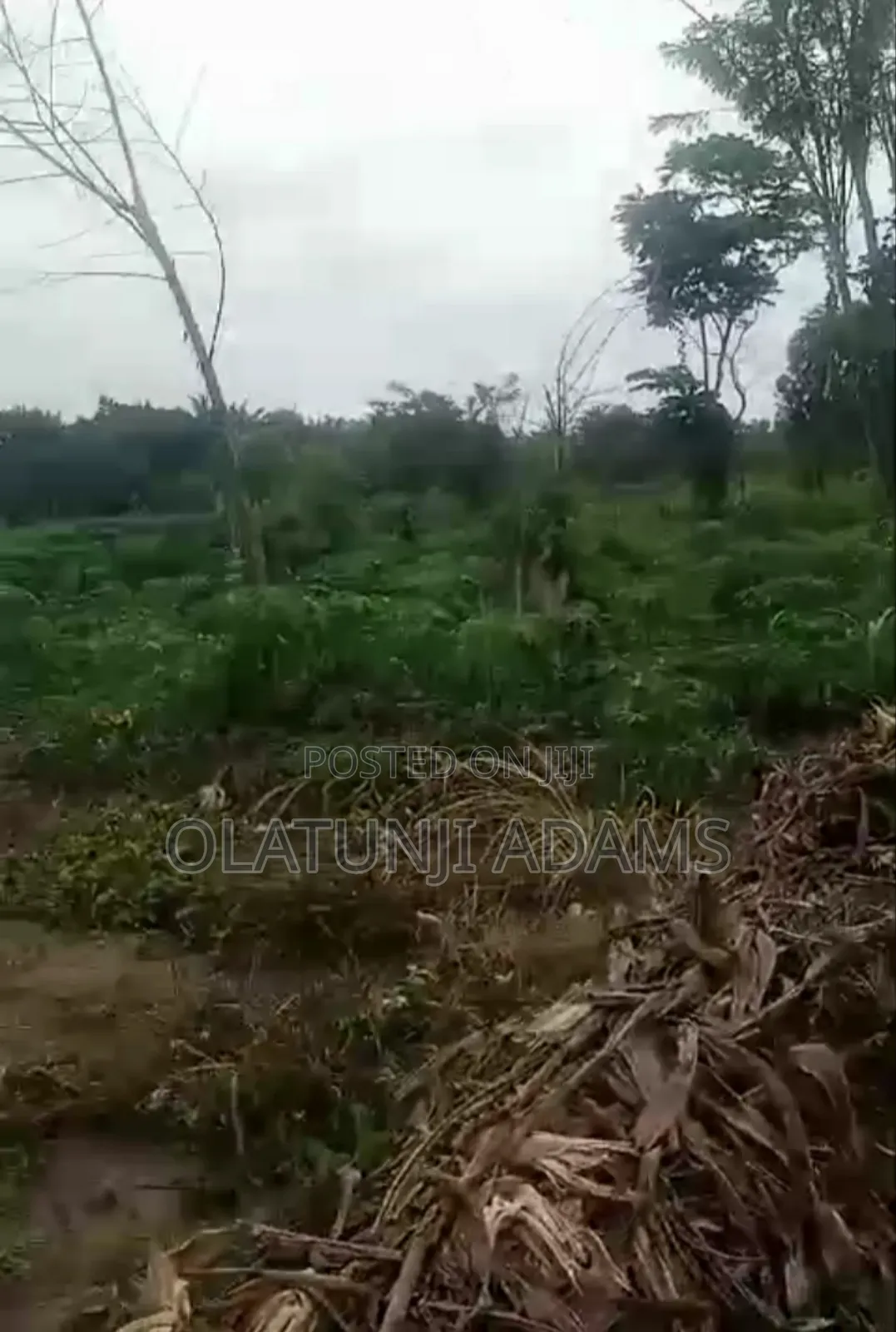 20acres of Land at Abobo Side Before Igbokiti Okinni