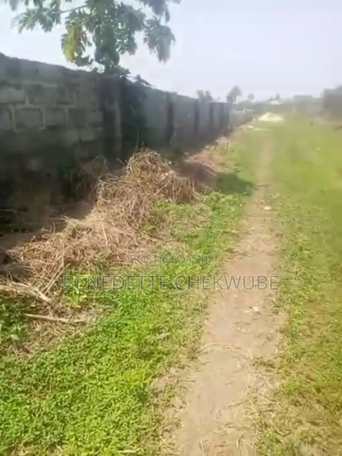 Land for Sale: Two Plots