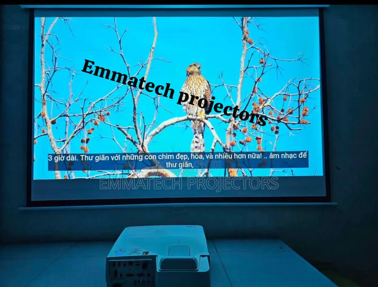 Brand New Ultra Short Throw Projector for Presentations