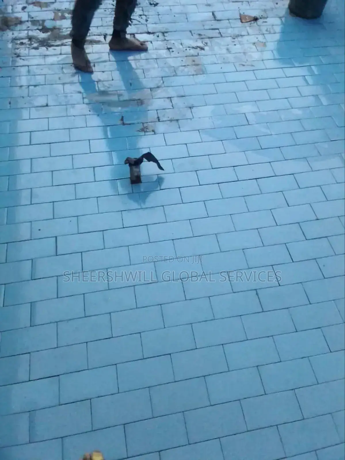 Swimming Pool Construction and Finishing