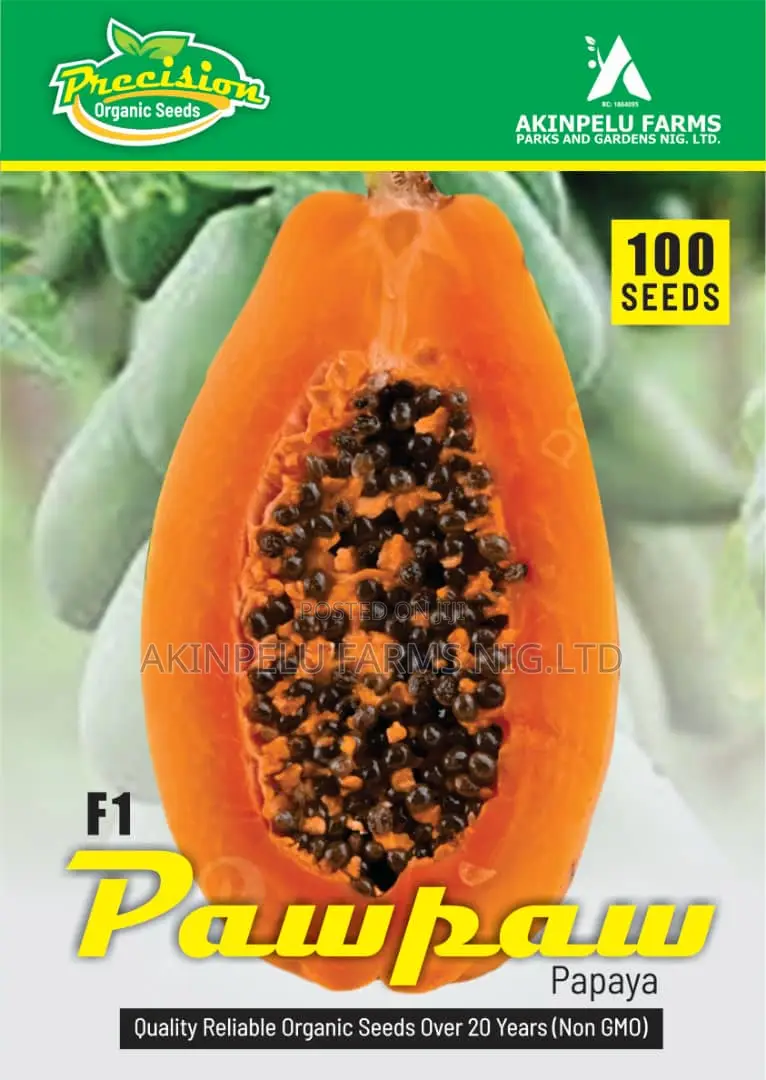 One Foot Long Pawpaw Seed(Carica Papaya)