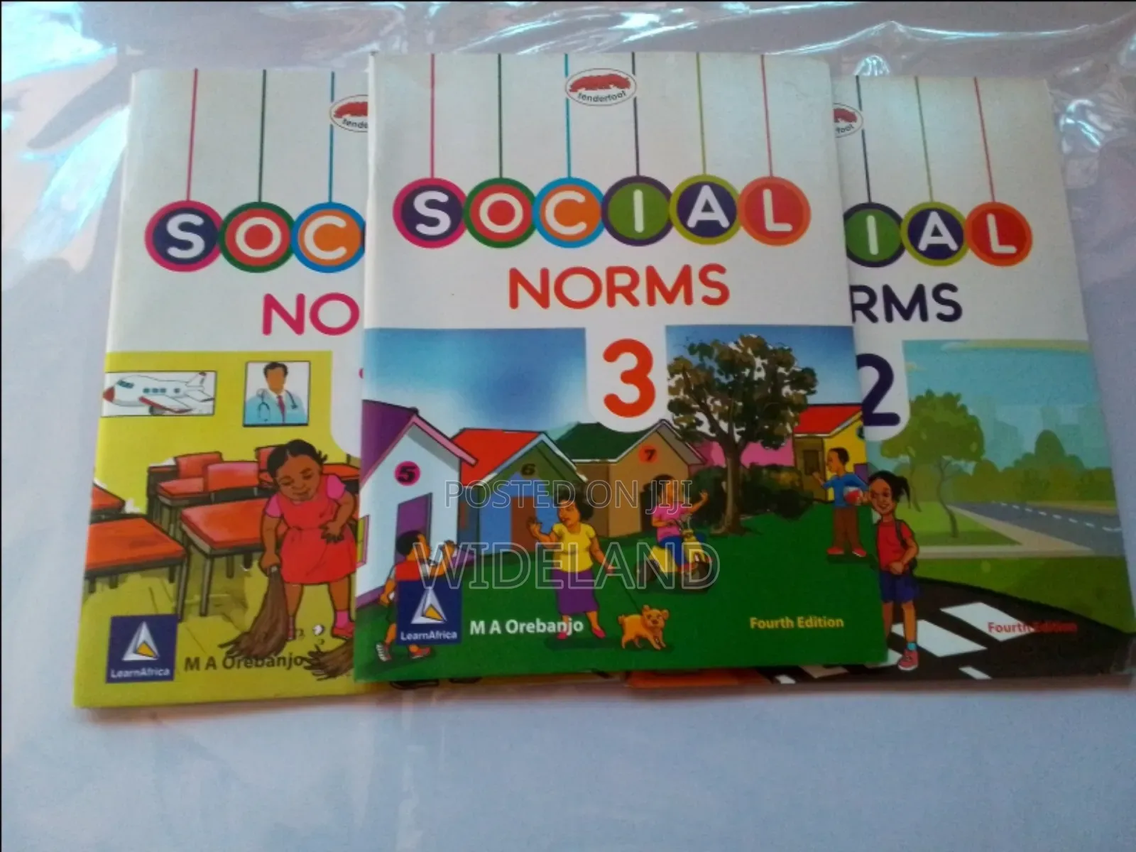 Social Norms
