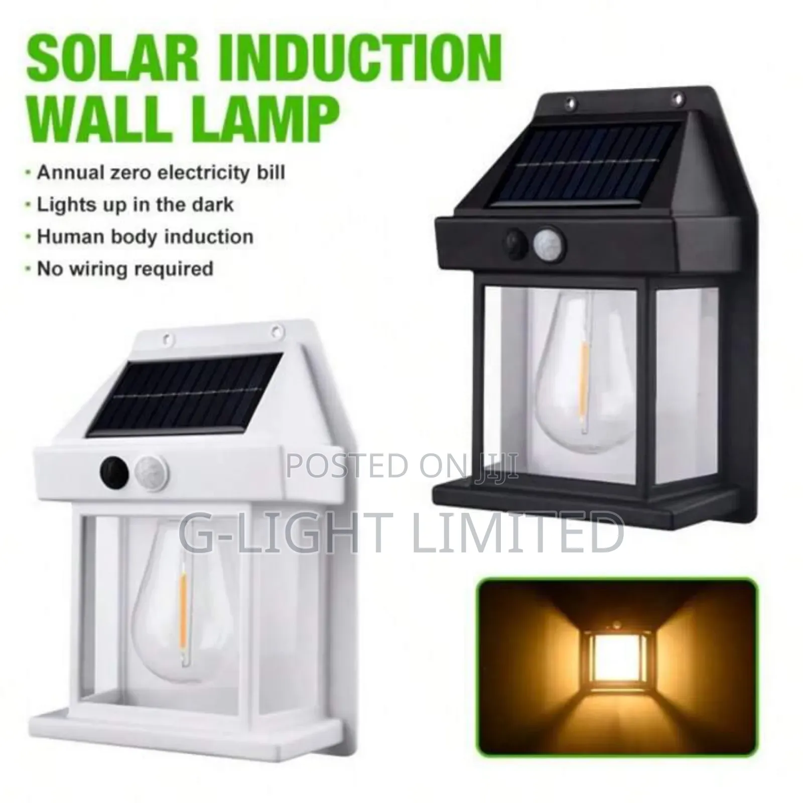 Solar Outdoor Light