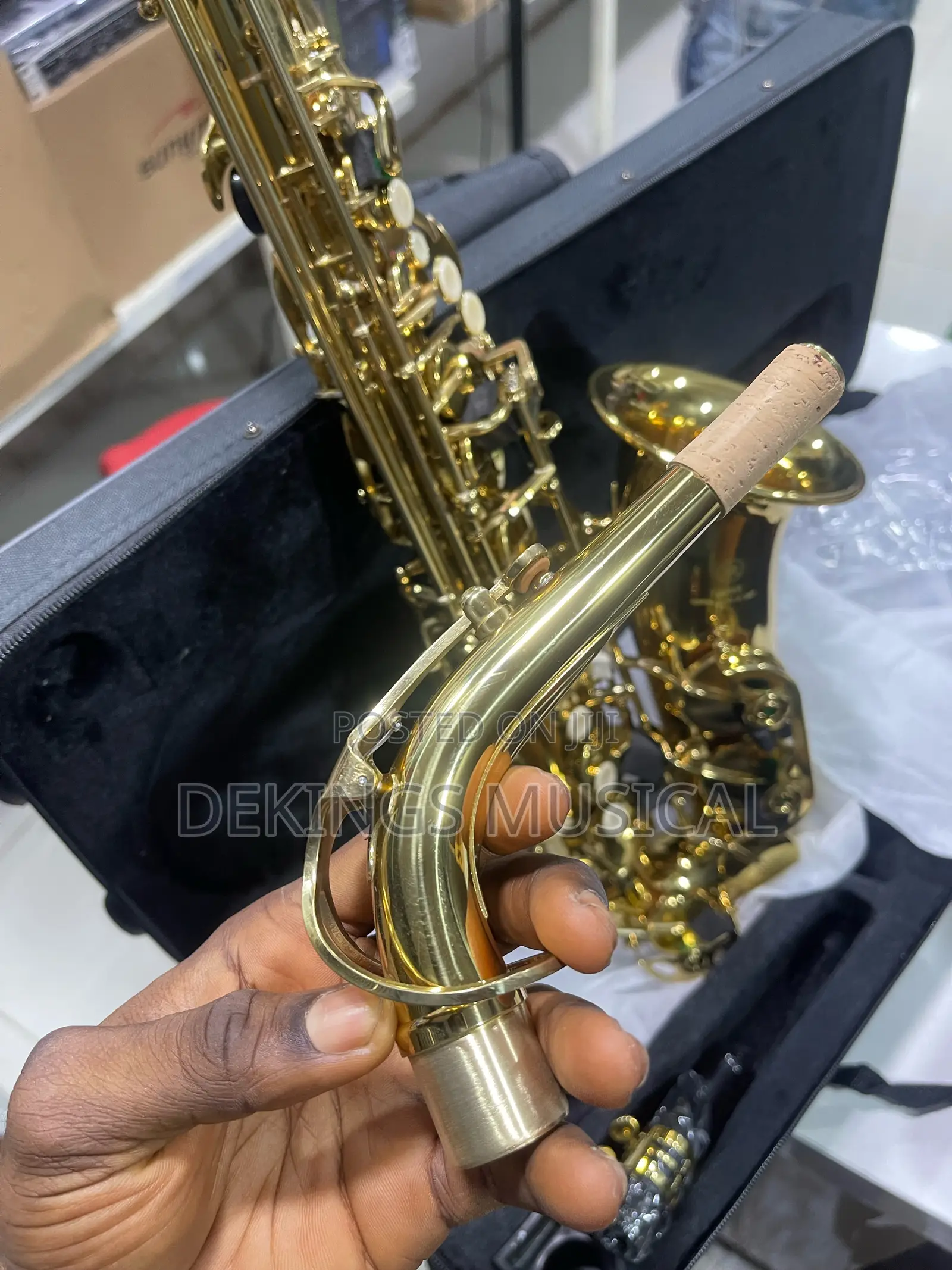 Yamaha Alto Saxophone Gold Pro Sax