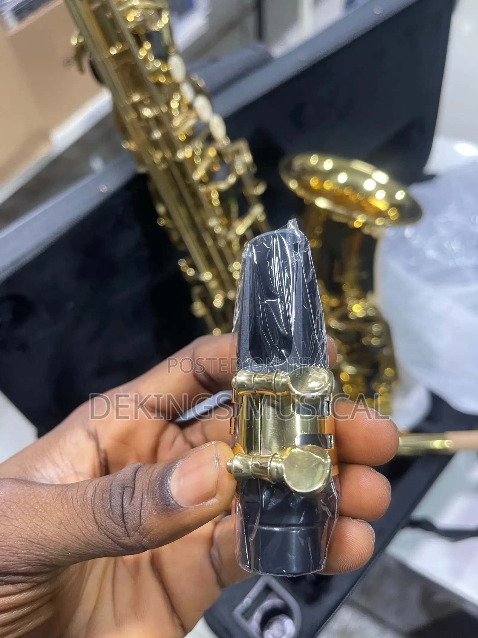 Yamaha Alto Saxophone Gold Pro Sax