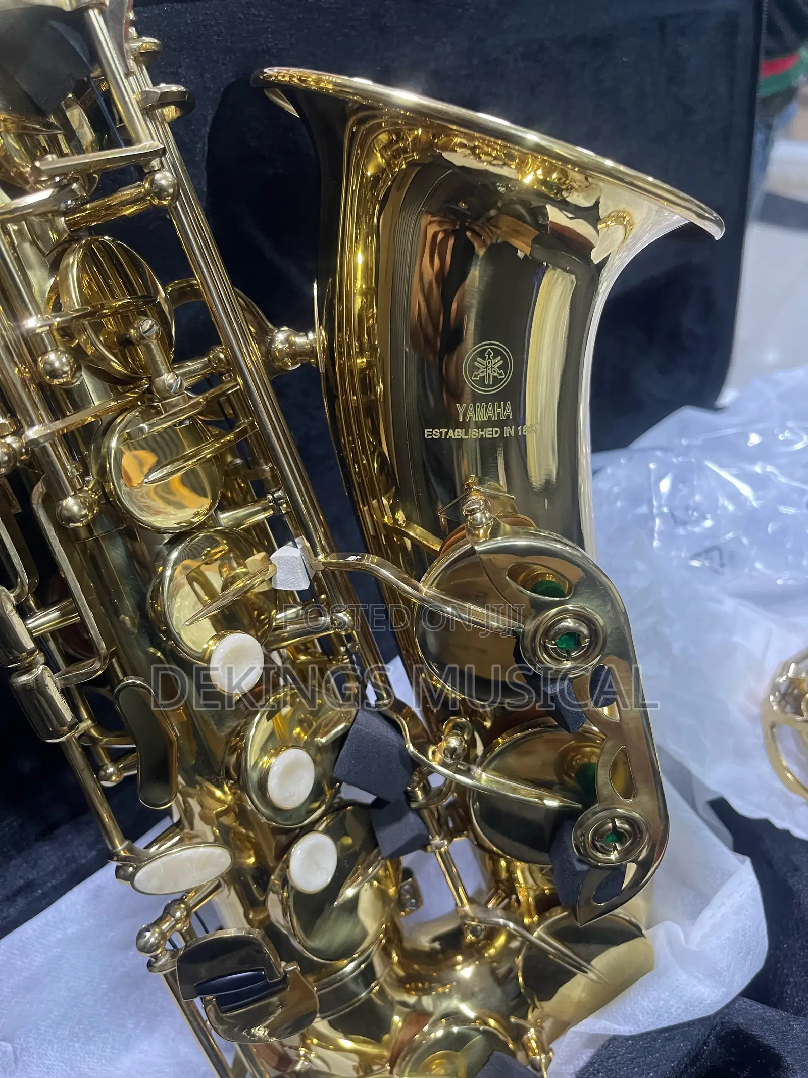 Yamaha Alto Saxophone Gold Woodwind Pro Sax