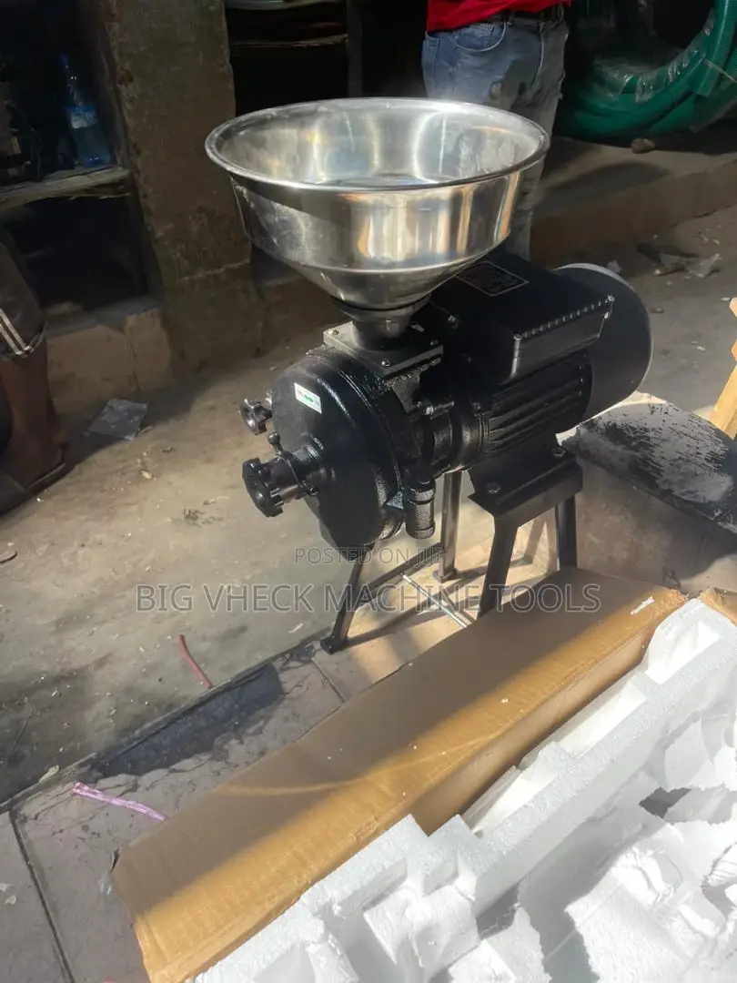 Wet and Dry Grinder