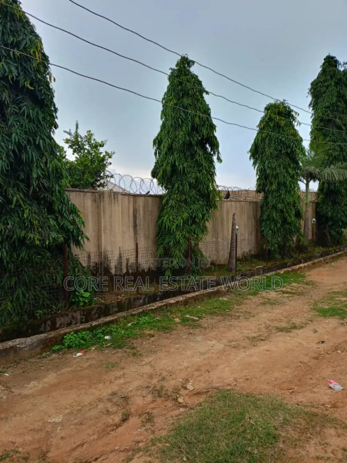 C of O Land, Abraka, Delta State