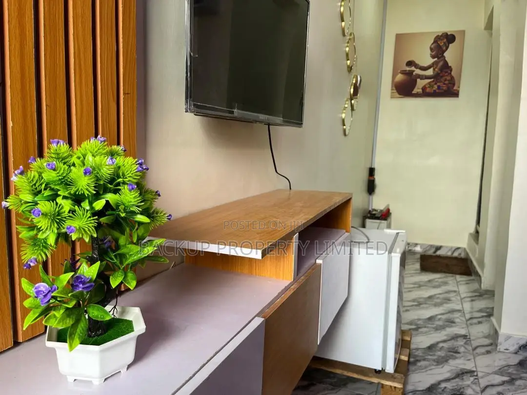 Executive and Furnished Studio Apartment