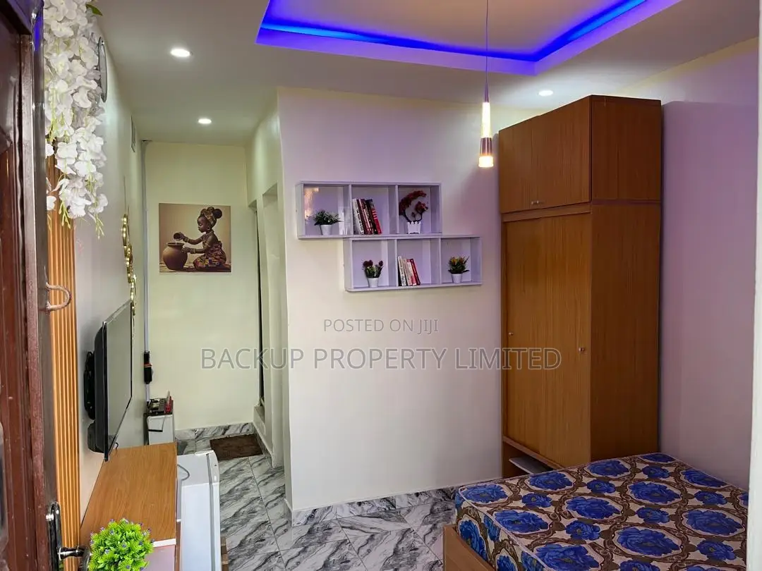 Executive and Furnished Studio Apartment