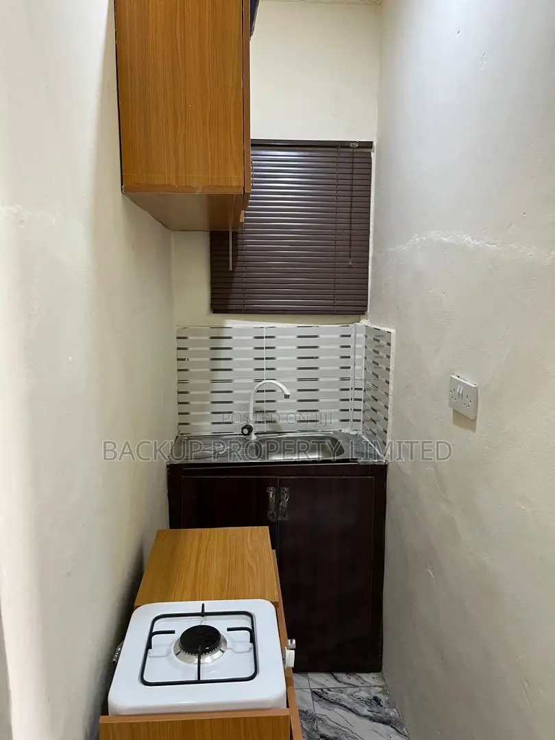 Executive and Furnished Studio Apartment