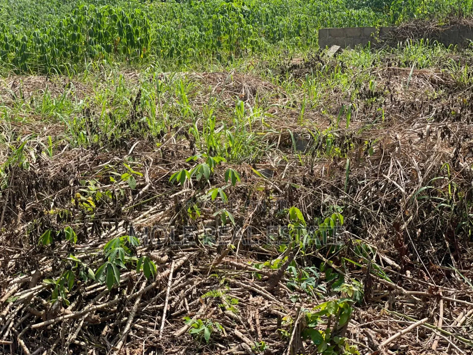 60ft by 120ft Mowe Ofada Ayetoro Rd Along