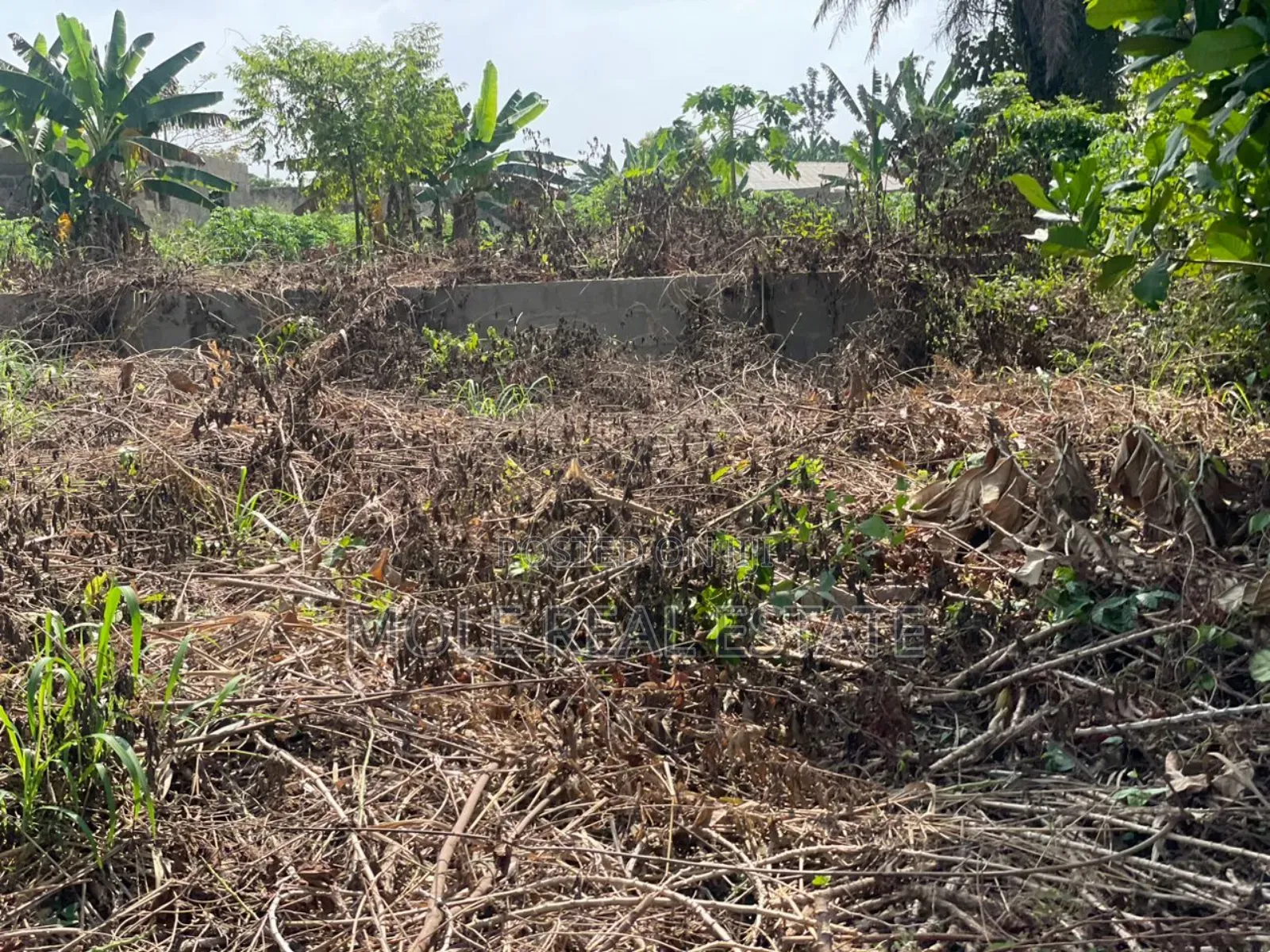 60ft by 120ft Mowe Ofada Ayetoro Rd Along