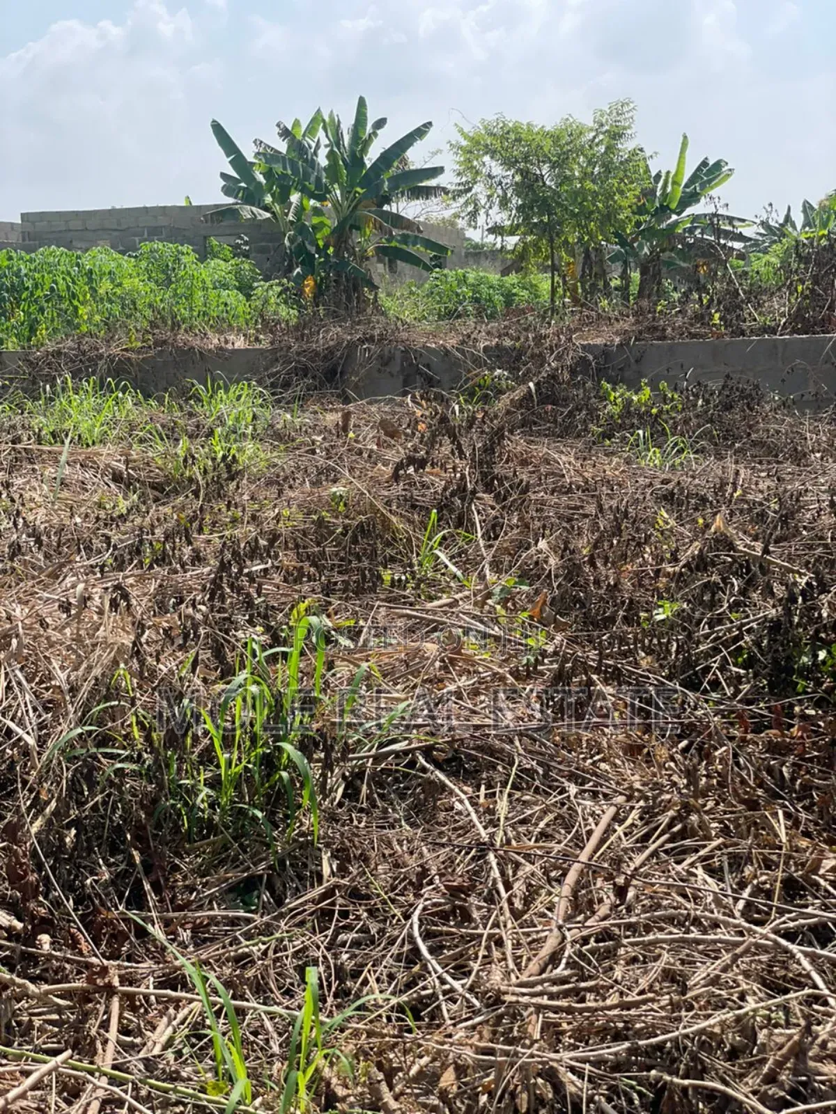 60ft by 120ft Mowe Ofada Ayetoro Rd Along