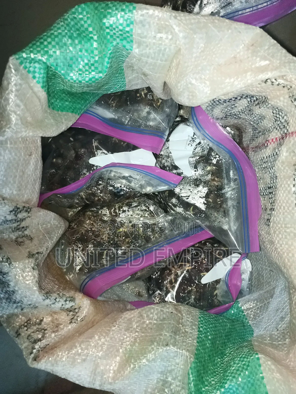 Hybrid Oil Palm Seeed, Seedlings,And Other Hybrid Fruits