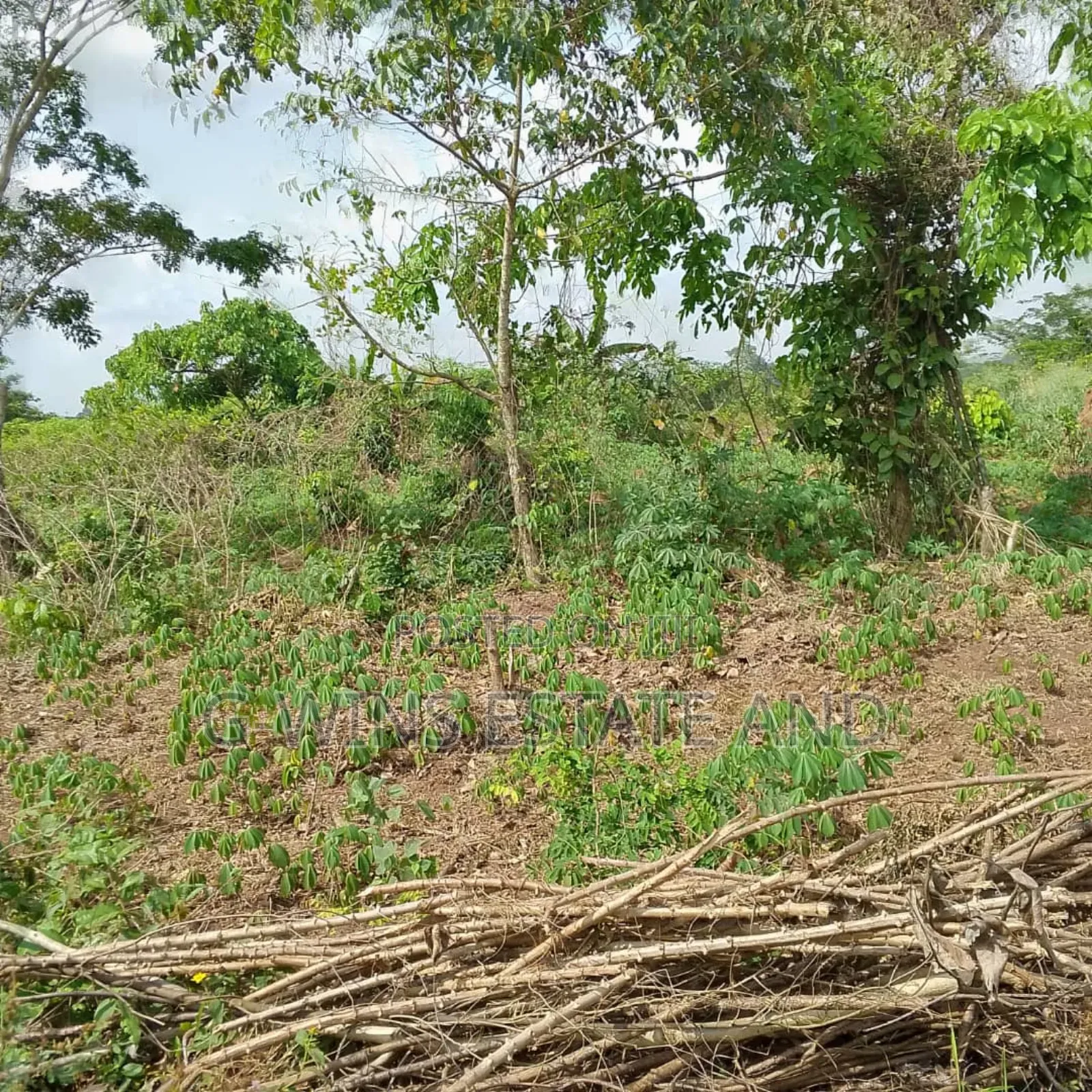 50 Plots at Airport Road Extension