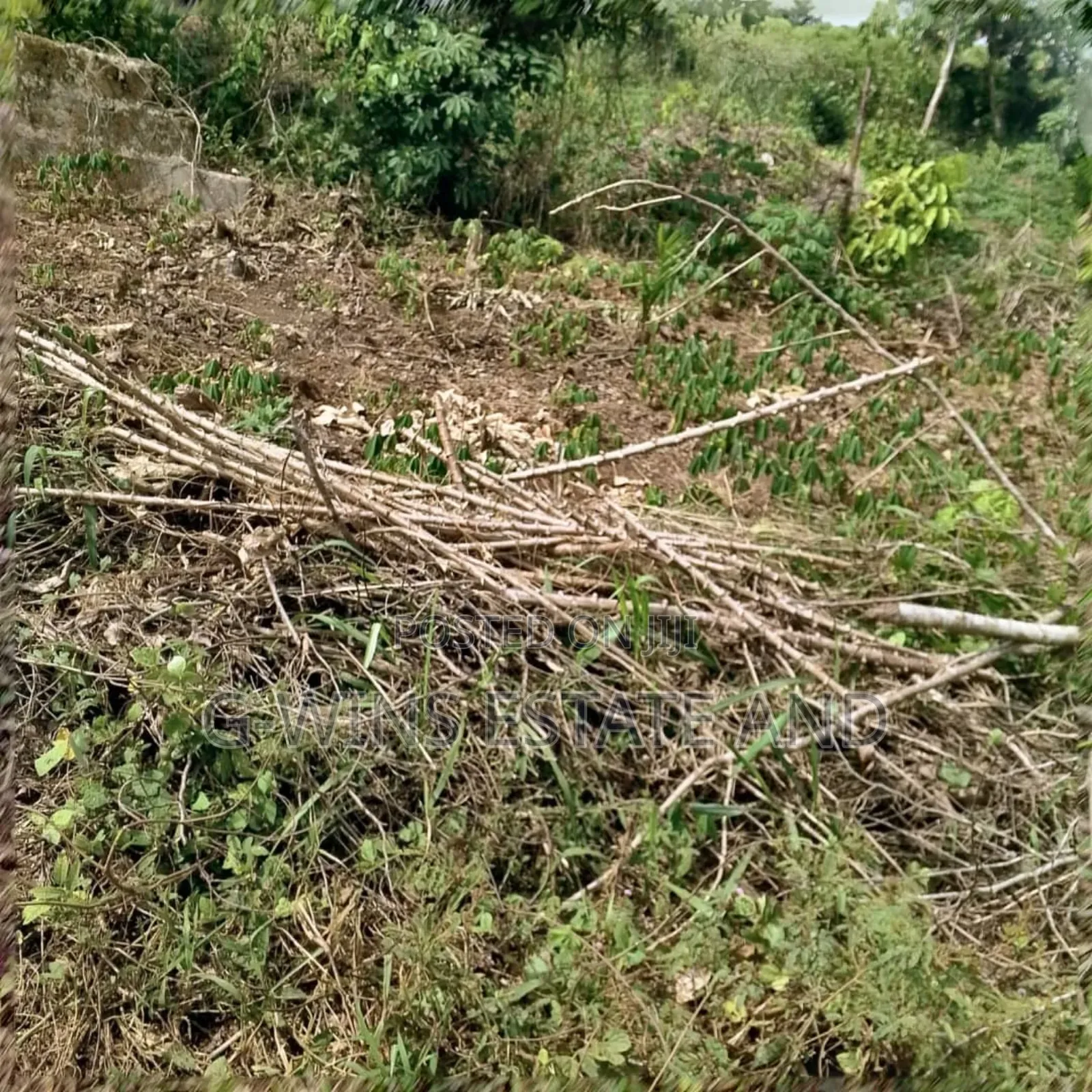 50 Plots at Airport Road Extension