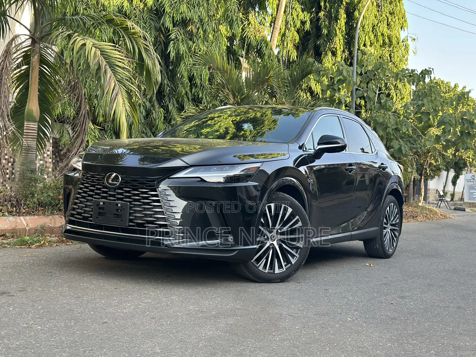 Lexus RX 2024 Black