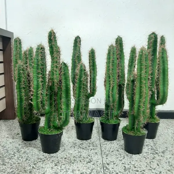 Artificial Cactus Plant | Wholesale of Fake Plants