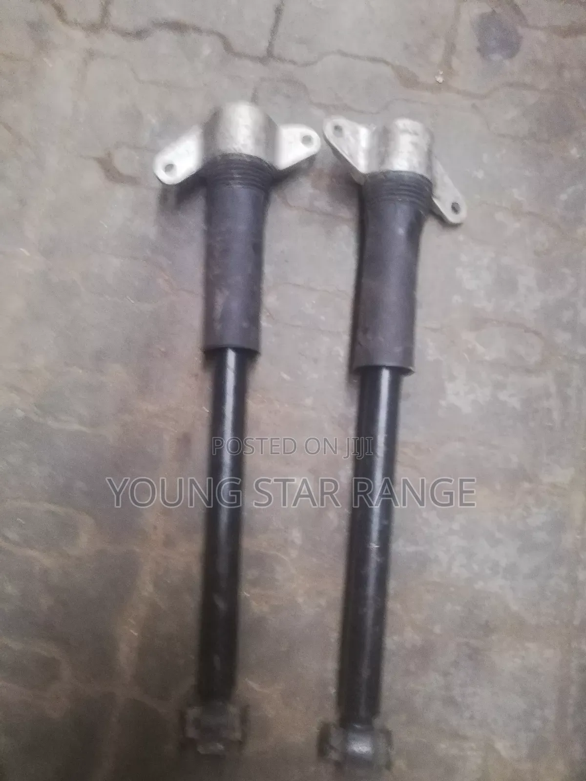 Range Rover Jaguar Bark Shock
