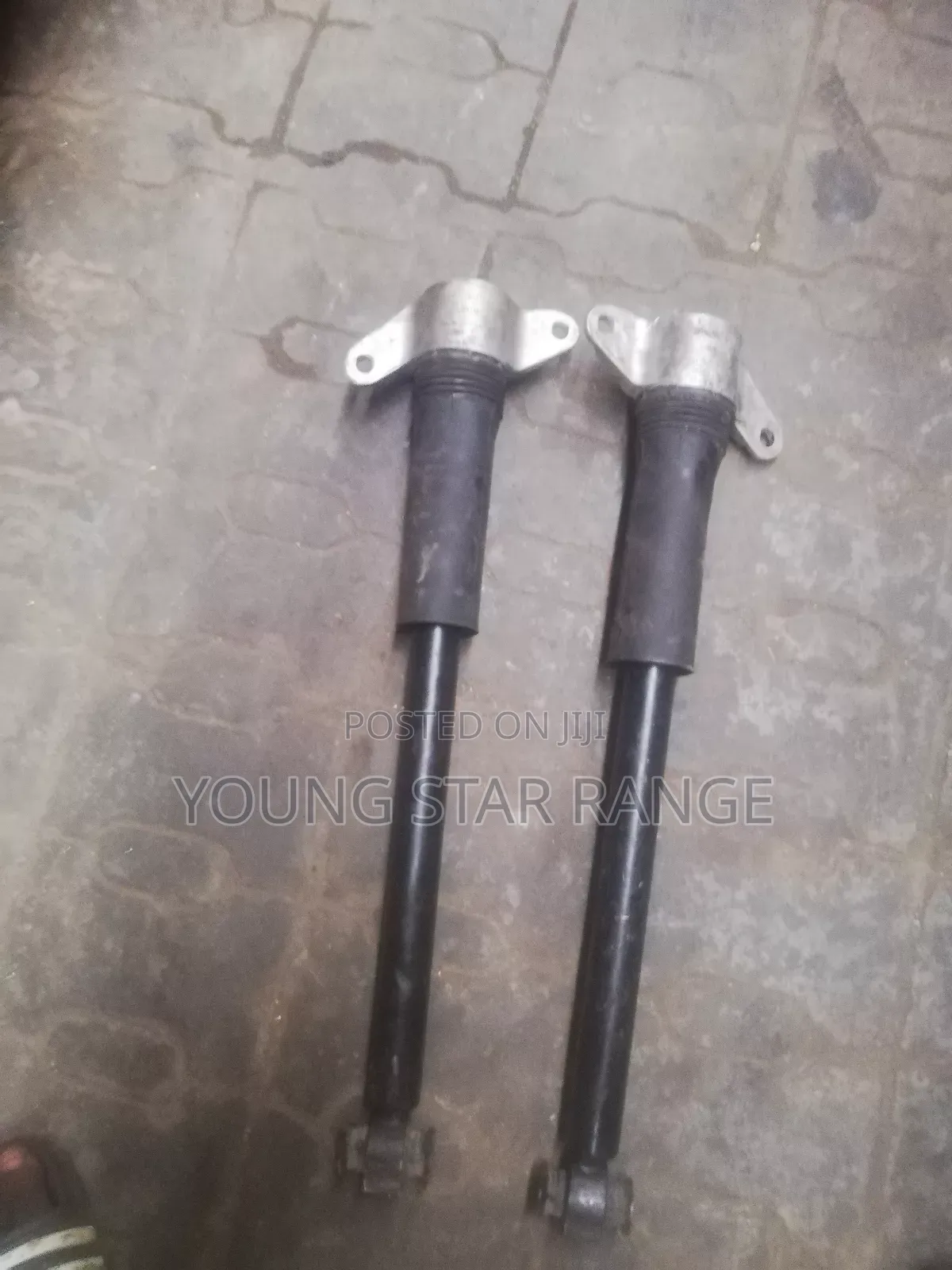 Range Rover Jaguar Bark Shock