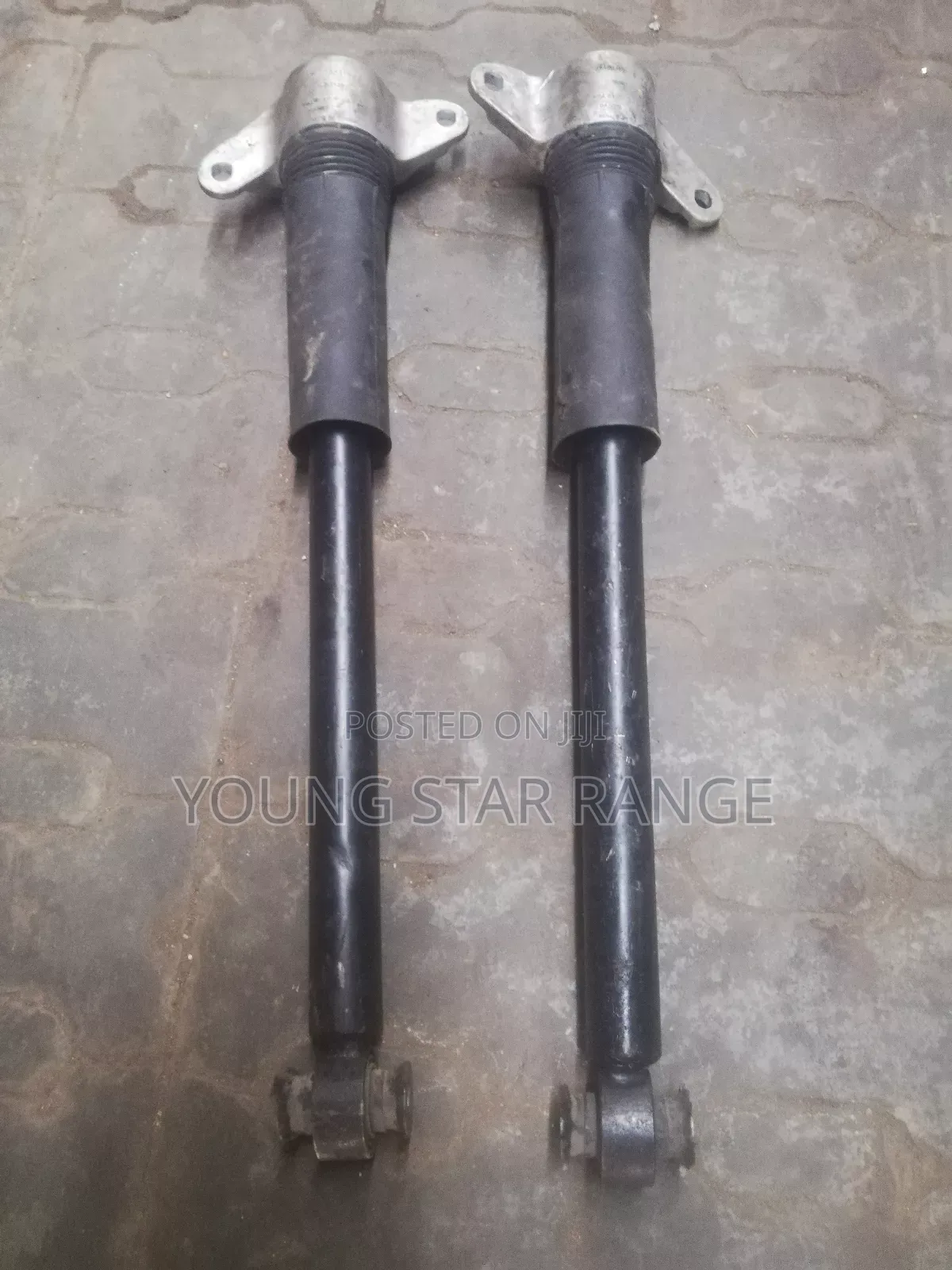 Range Rover Jaguar Bark Shock