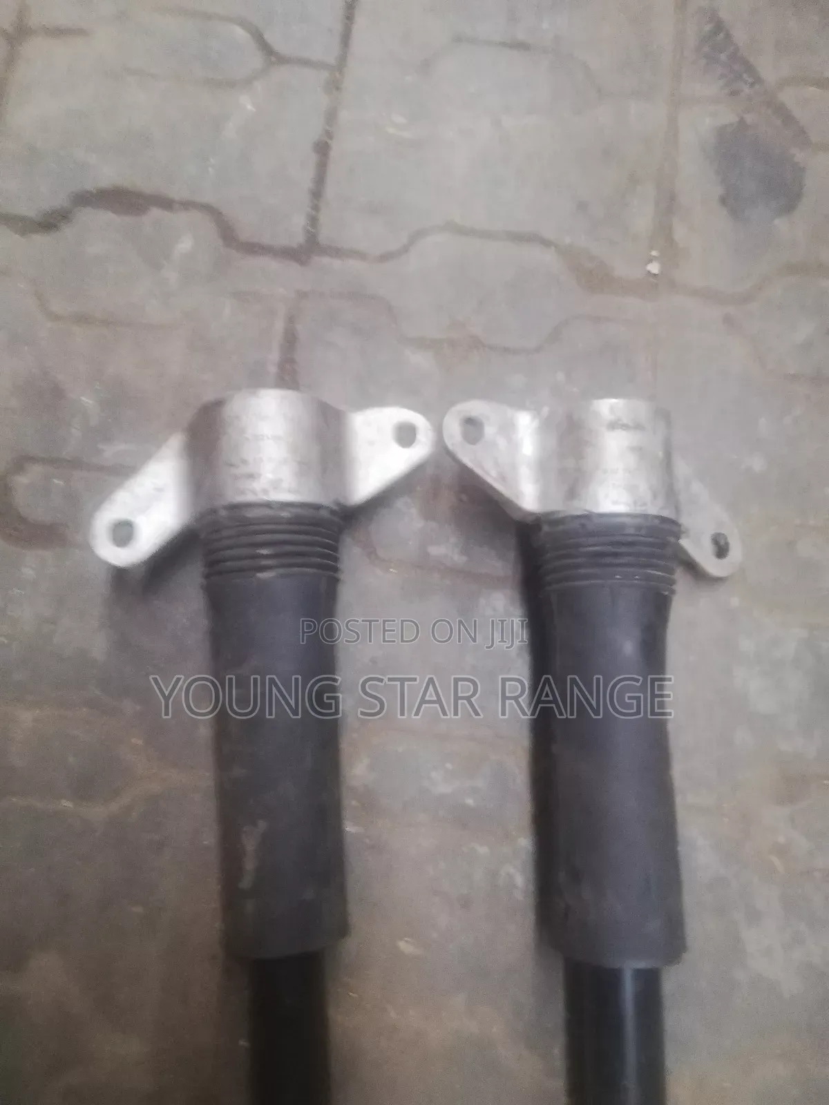 Range Rover Jaguar Bark Shock