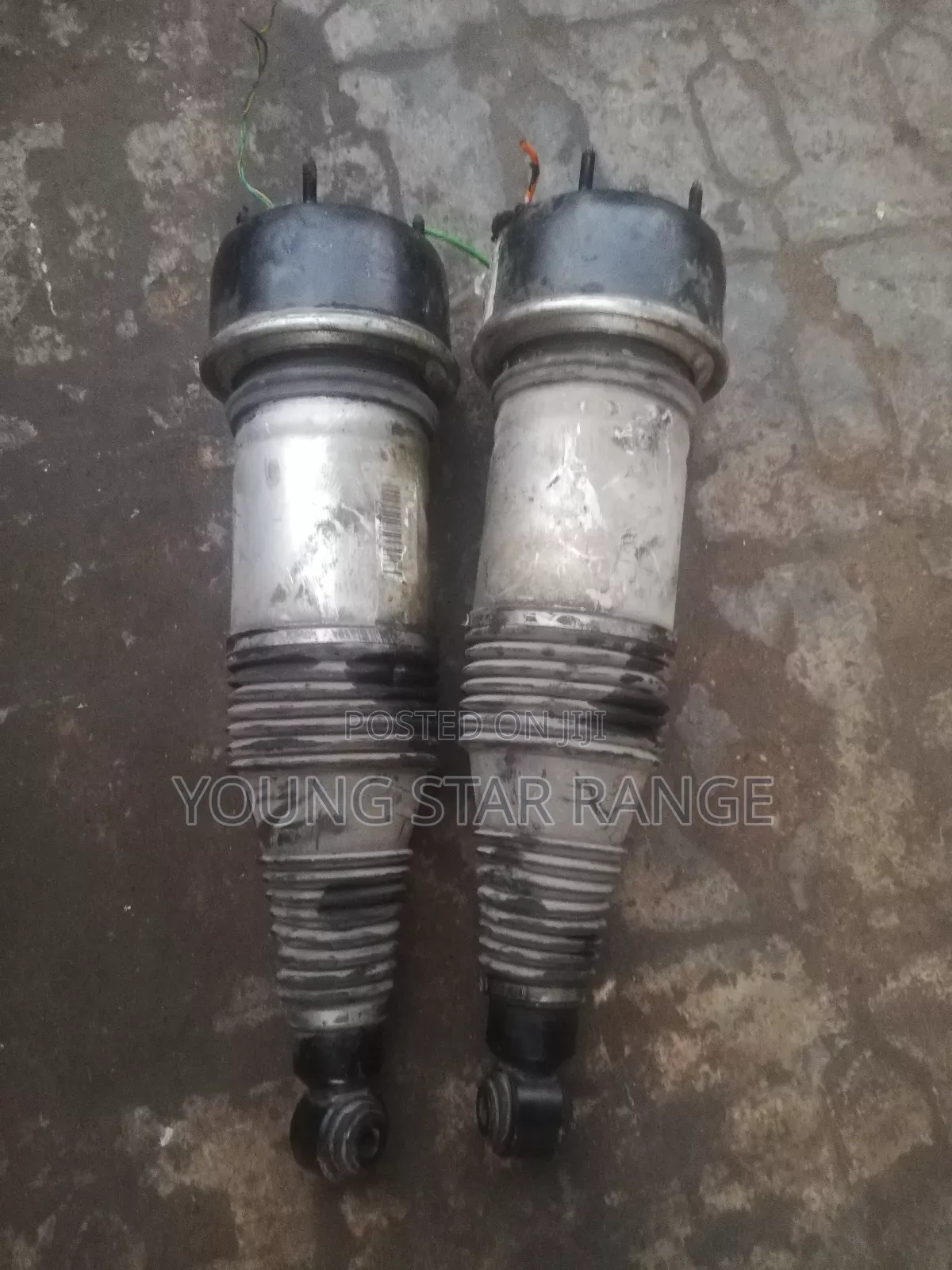 Jaguar Front Belluom Shock