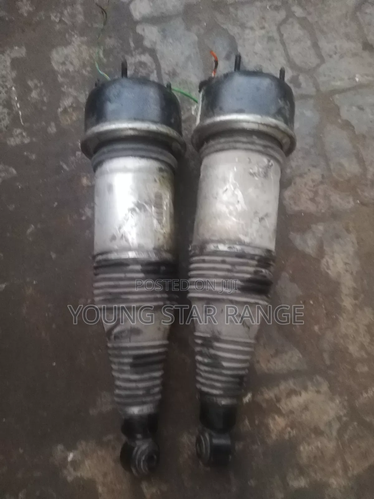 Jaguar Front Belluom Shock