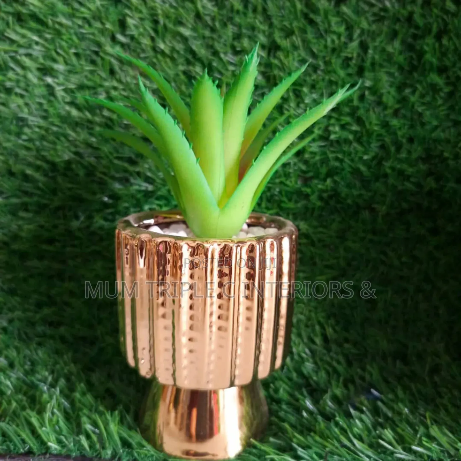 Flower With Gold Pot
