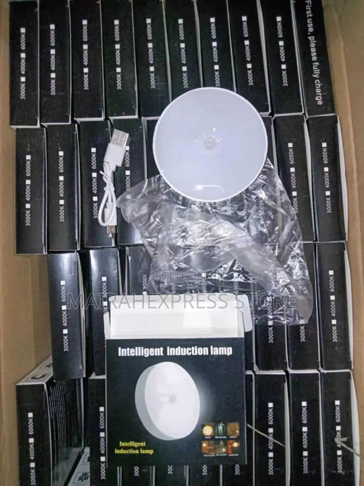 Rechargeable (Sensor Detector) Induction Lamp With Switch