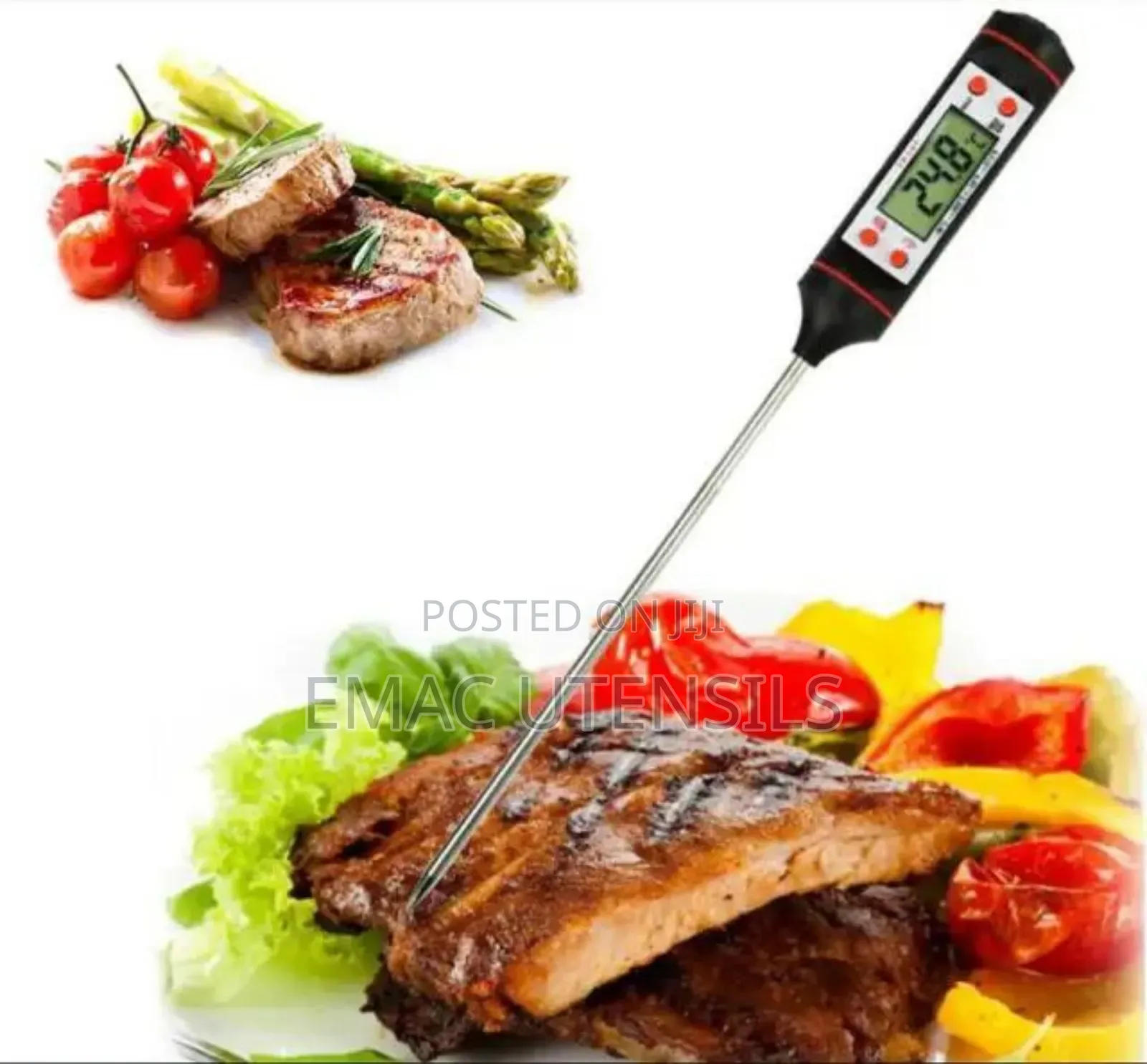 Digital Food Thermometer
