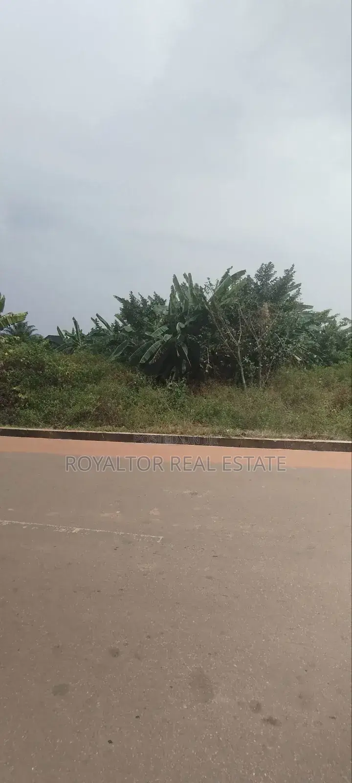 100/100ft for Sale. A Plot Off the Main Road
