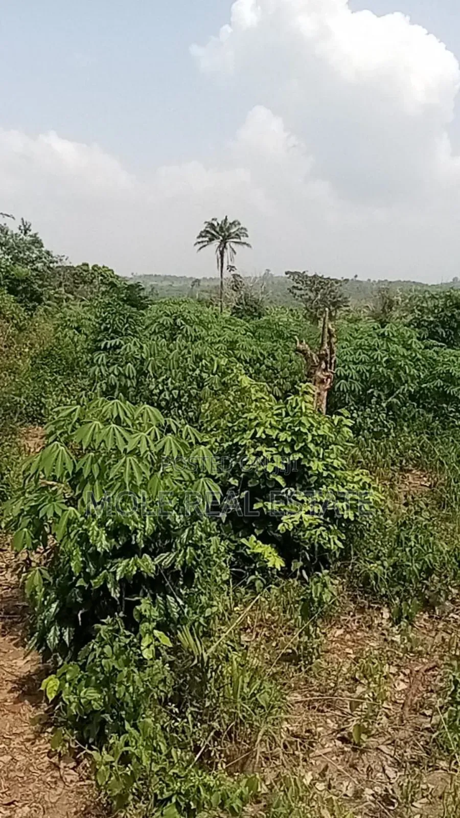 2025100 Acres Farm Land Agbowa Ikorodu