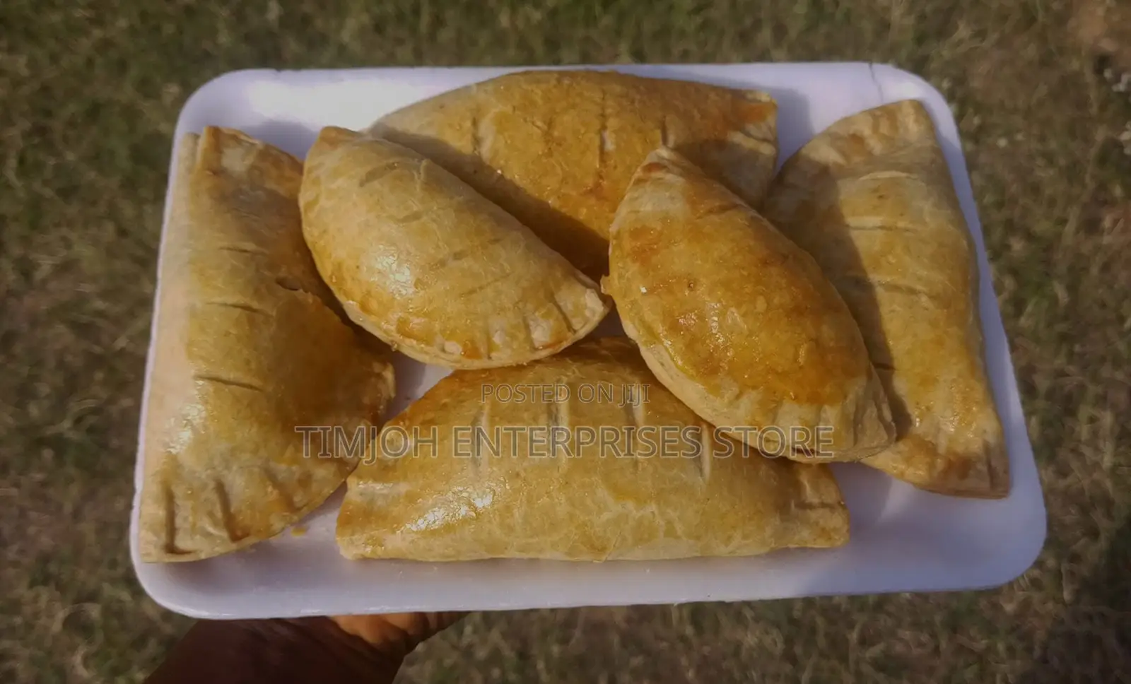 Meat Pie/ Chicken Pie
