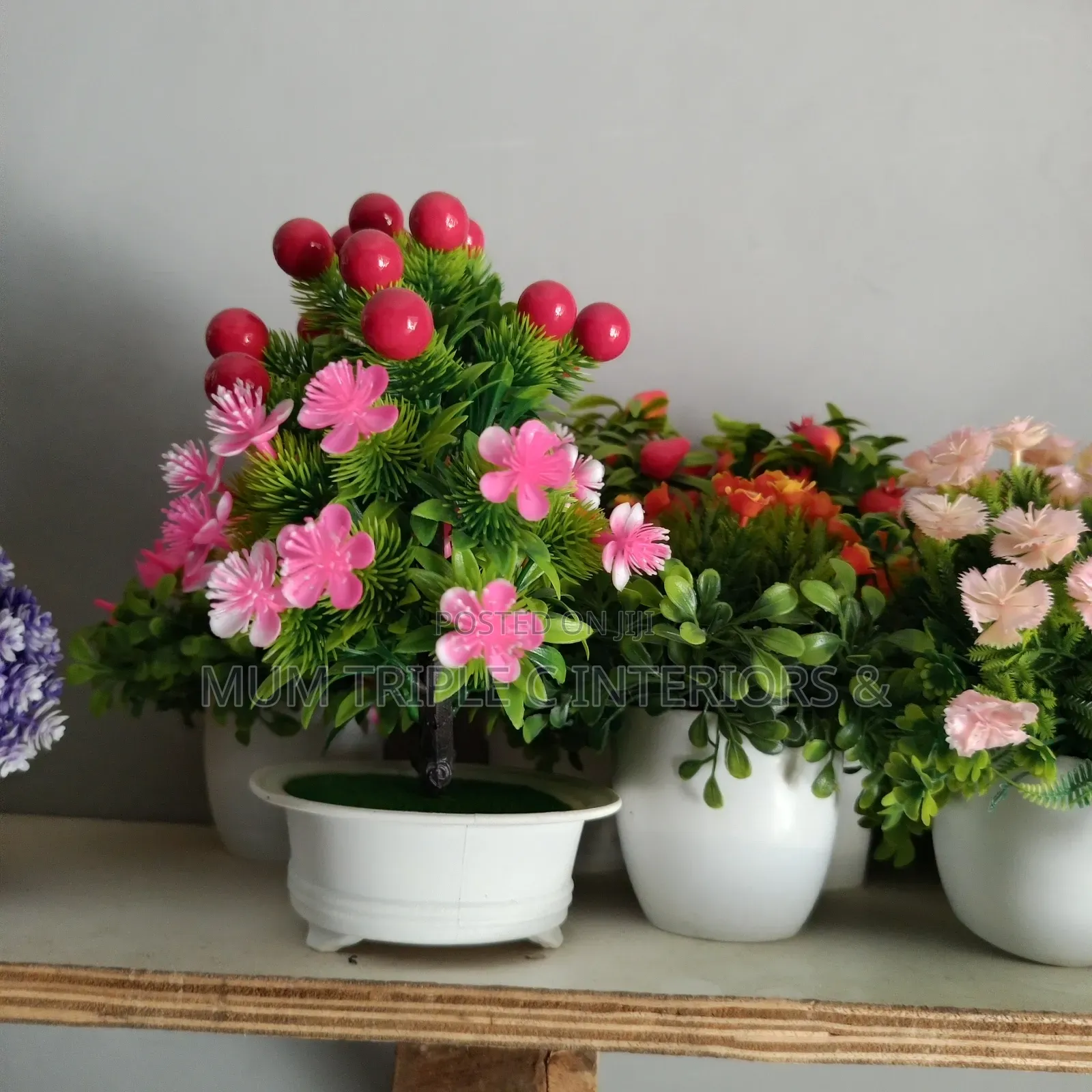 Plants and Flowers for Sale