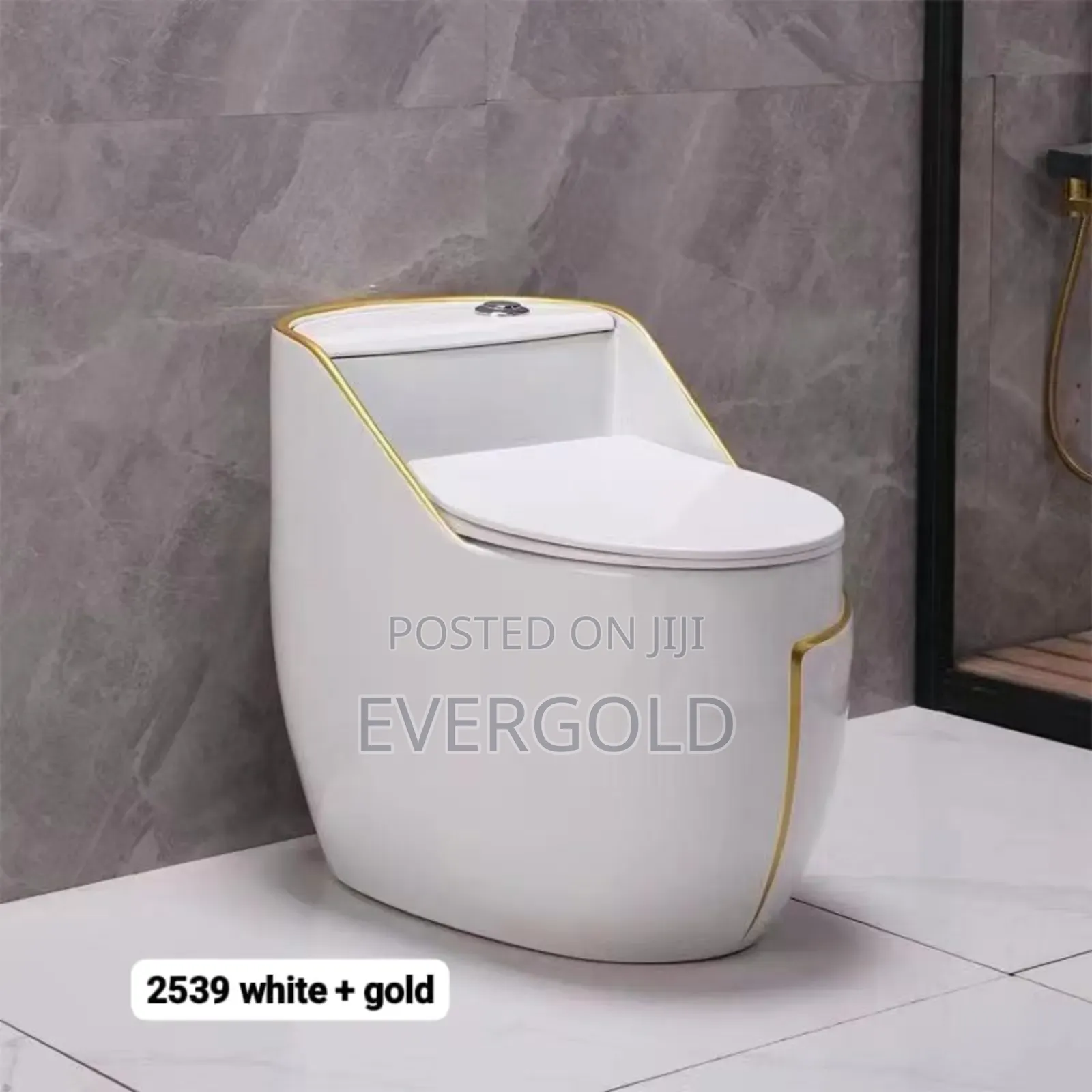Smart Water Closet With Golden Line Design Available