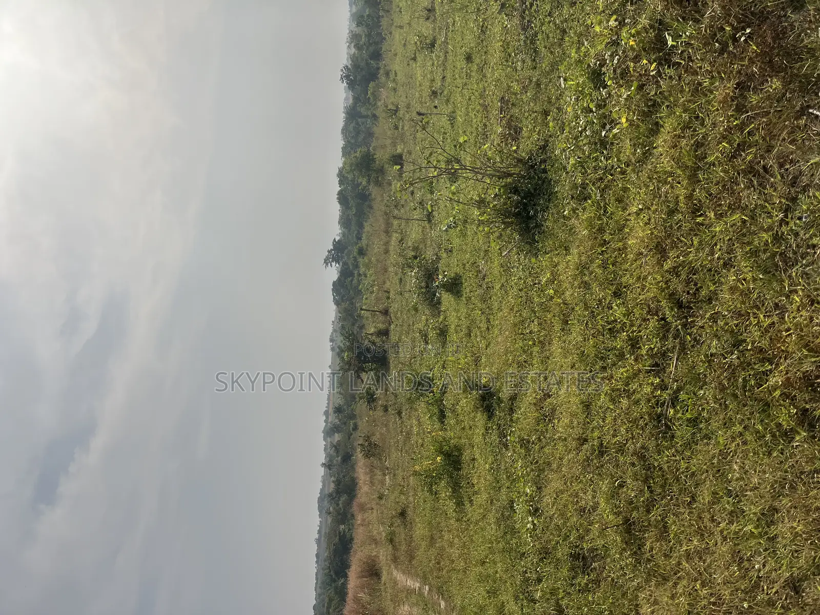 250 Acres of Land Located at Okaka, Itesiwaju Local Gov Area